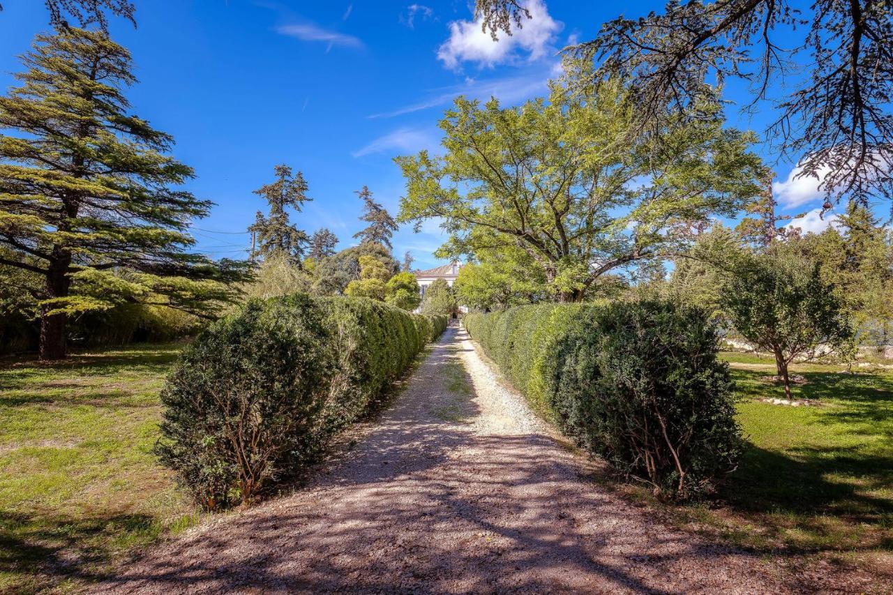 B&B En Provence- Villa Saint Marc Forcalquier Exterior foto